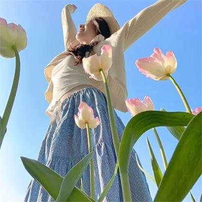 法律与秩序（纪录片） 在线观看