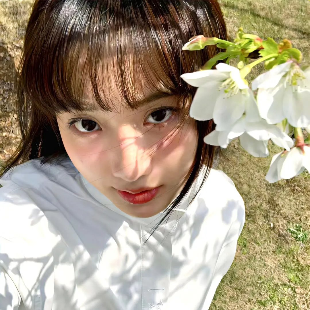 保罗·赛门：无眠乐章 在线观看